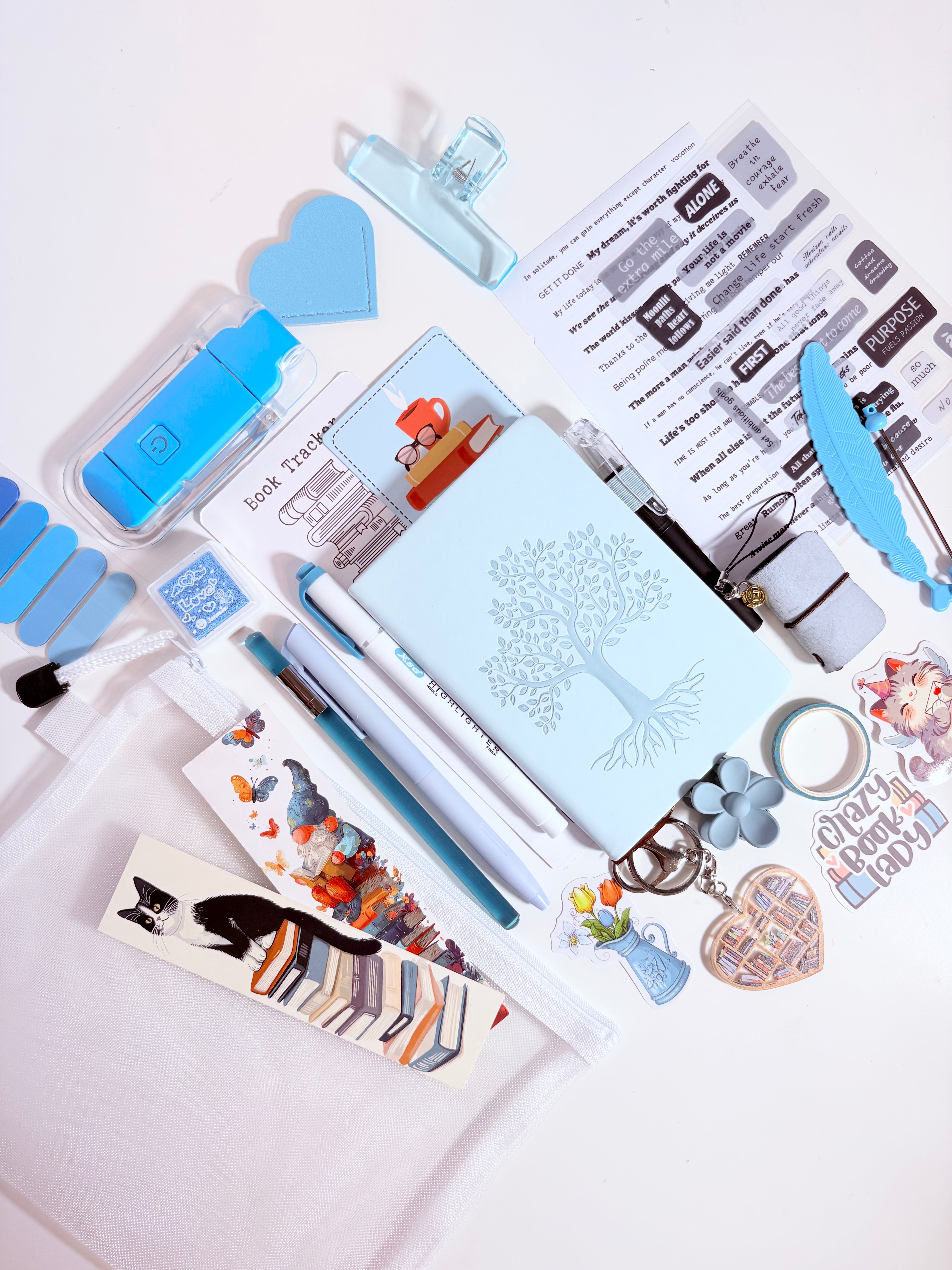 Sky Bookish Bundle 🩵